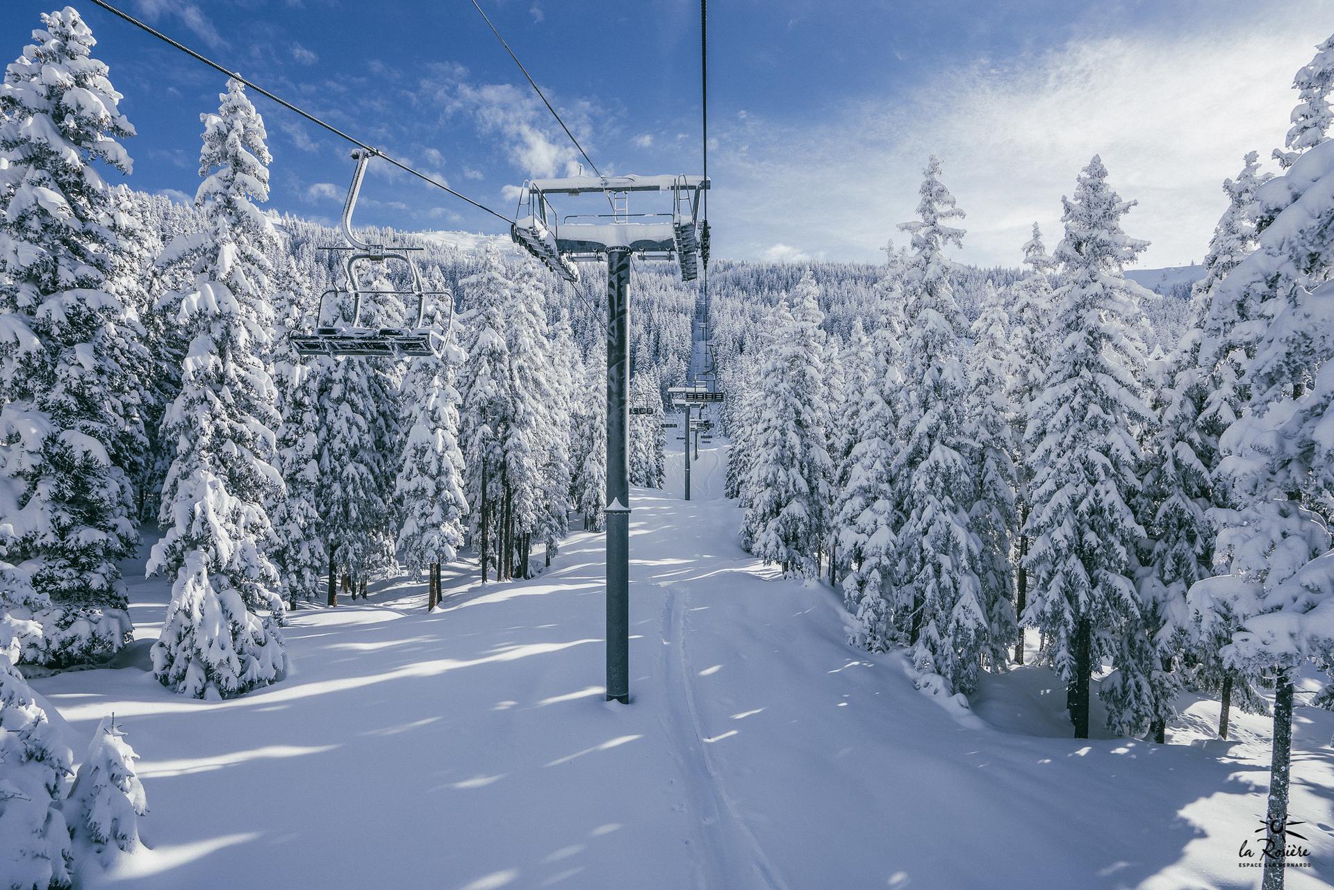 Chairlift between snow capped trees